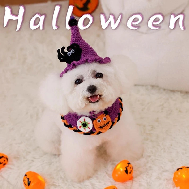 Witch kitty
