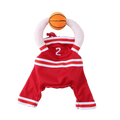 Basketball player