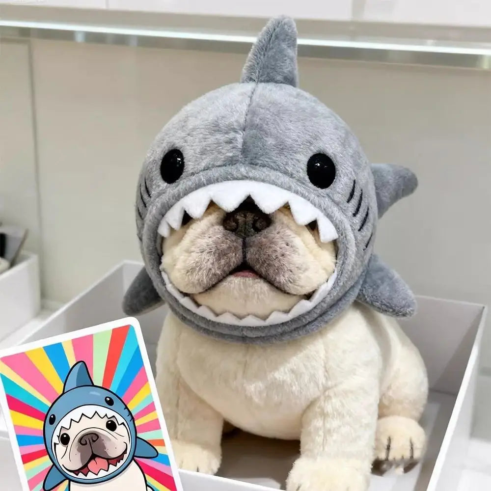 shark