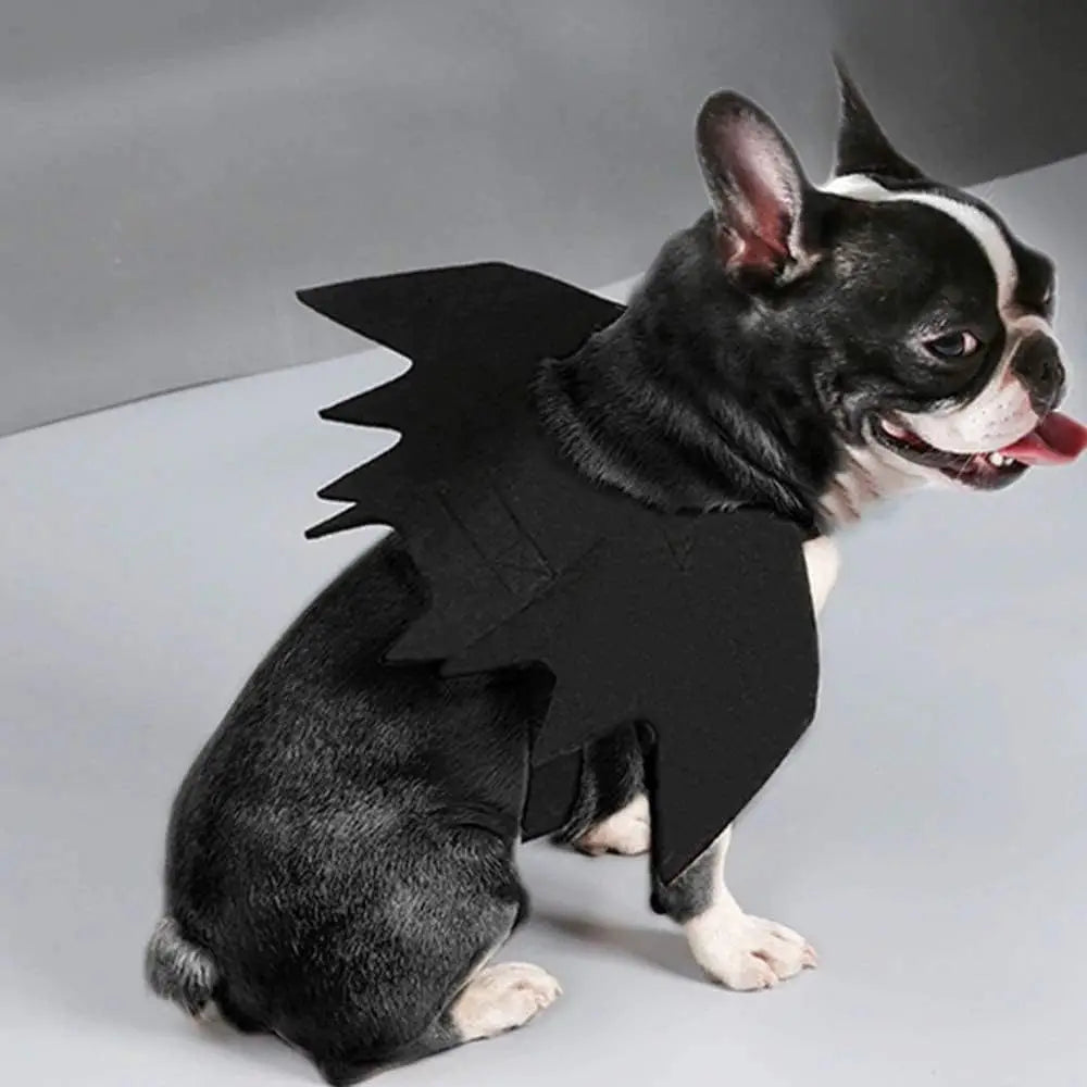Bat wings