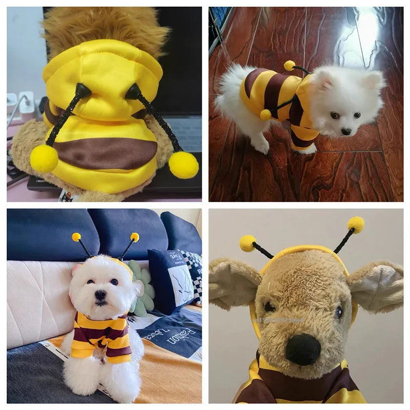 Bee