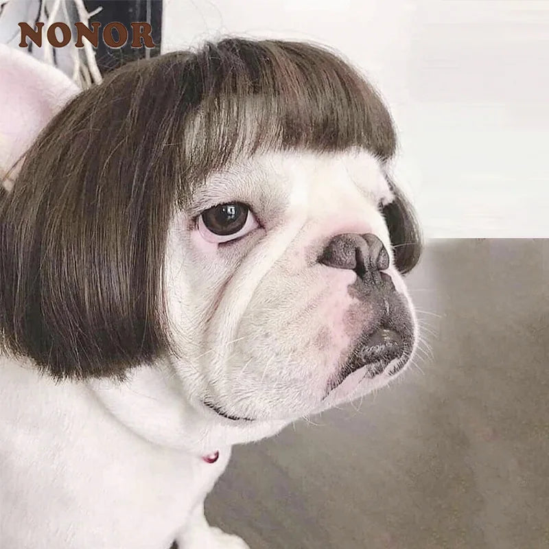 Dog wig