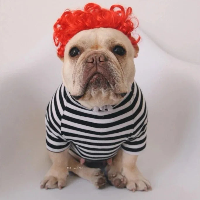 Dog wig