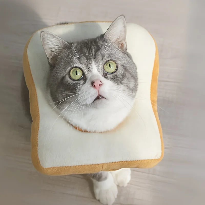 Bread