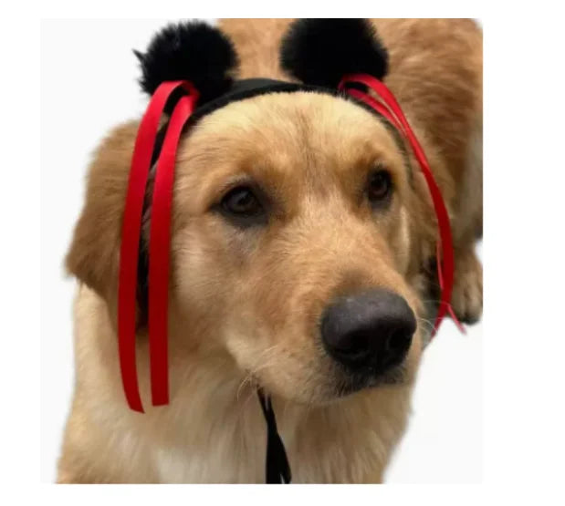 Dog wig