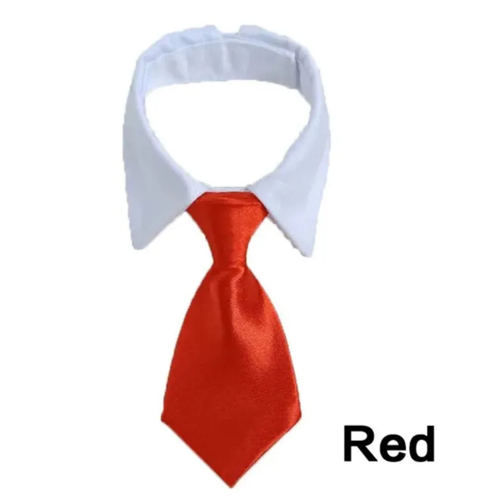 Business