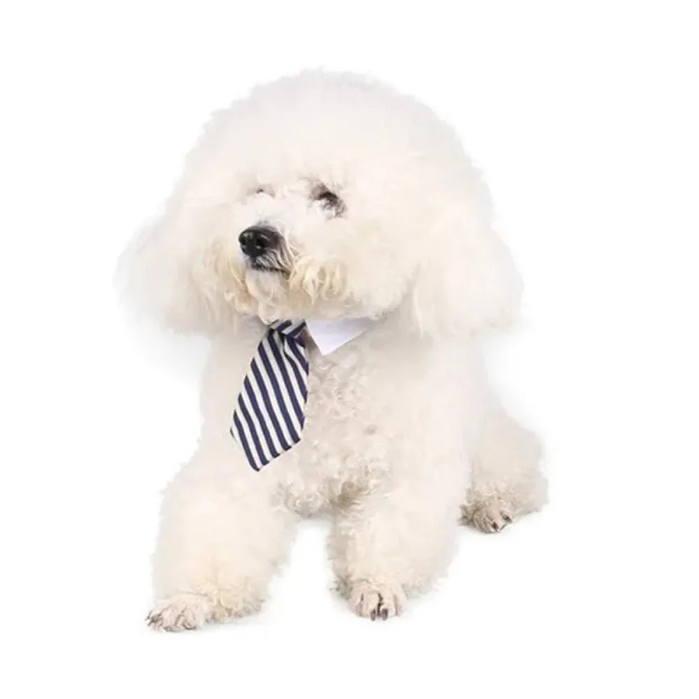 Business