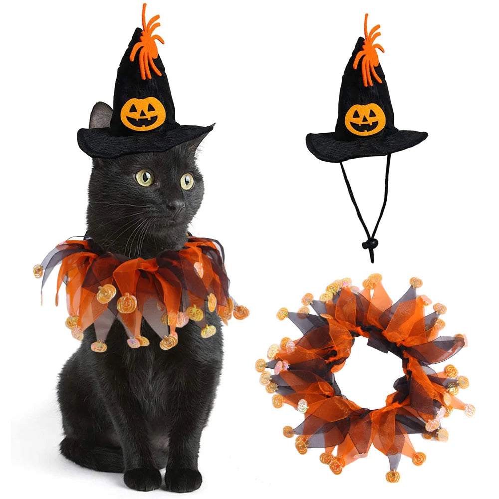 Jester kitty