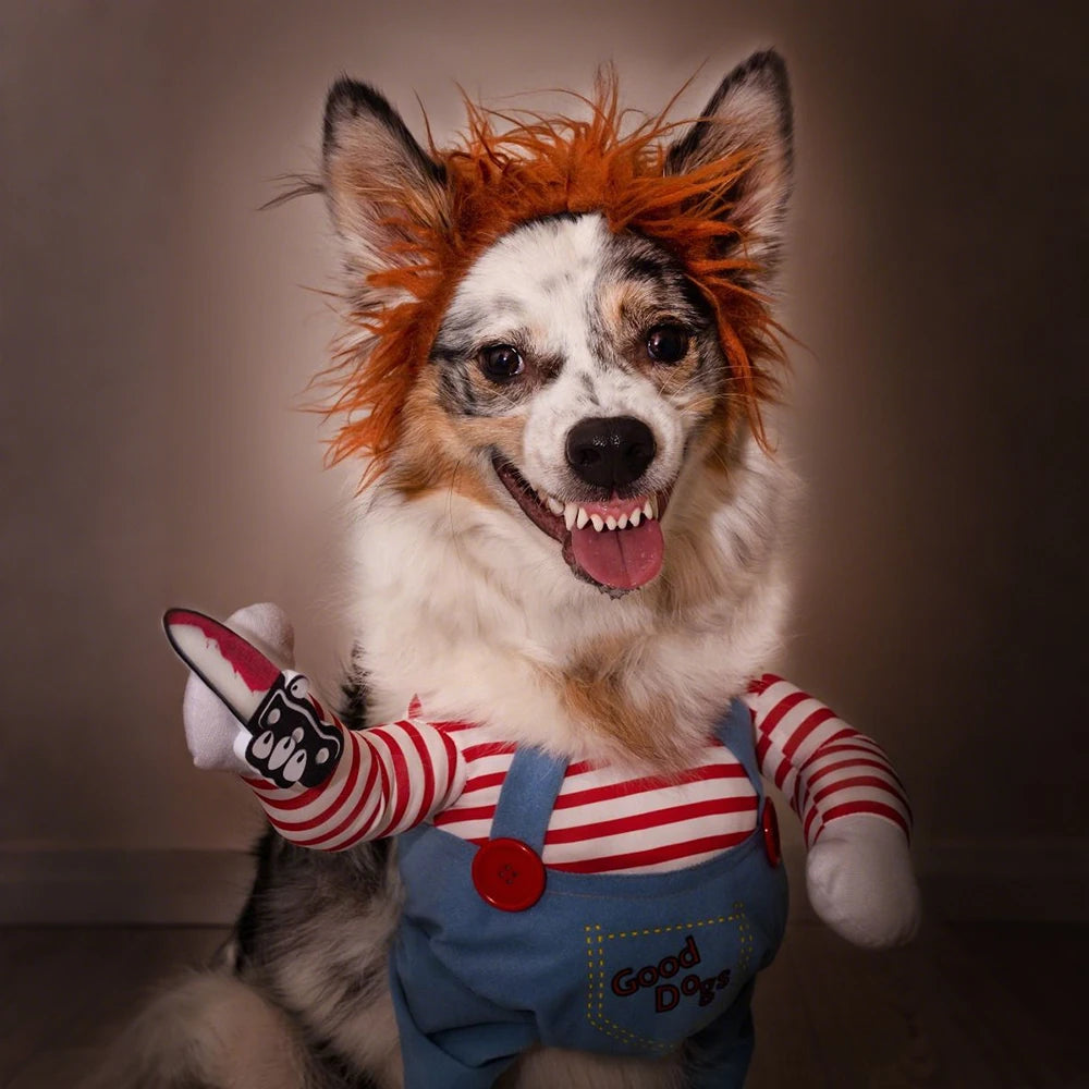 killer dog