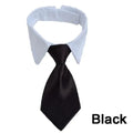 Business