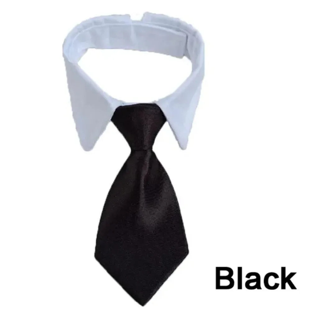 Business