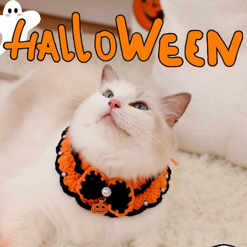 Witch kitty