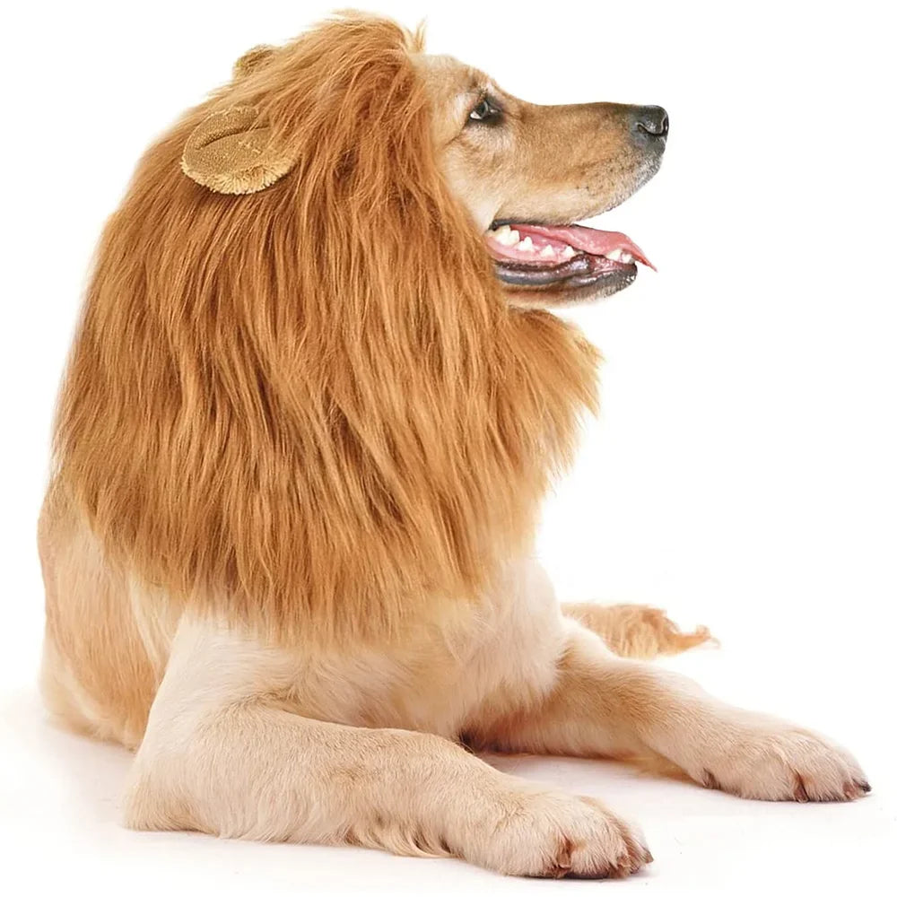 lions mane