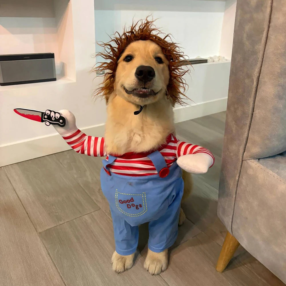 killer dog
