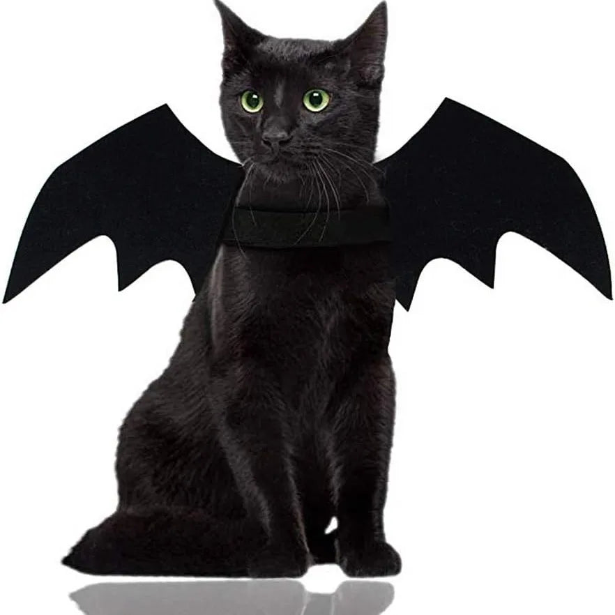 Bat wings