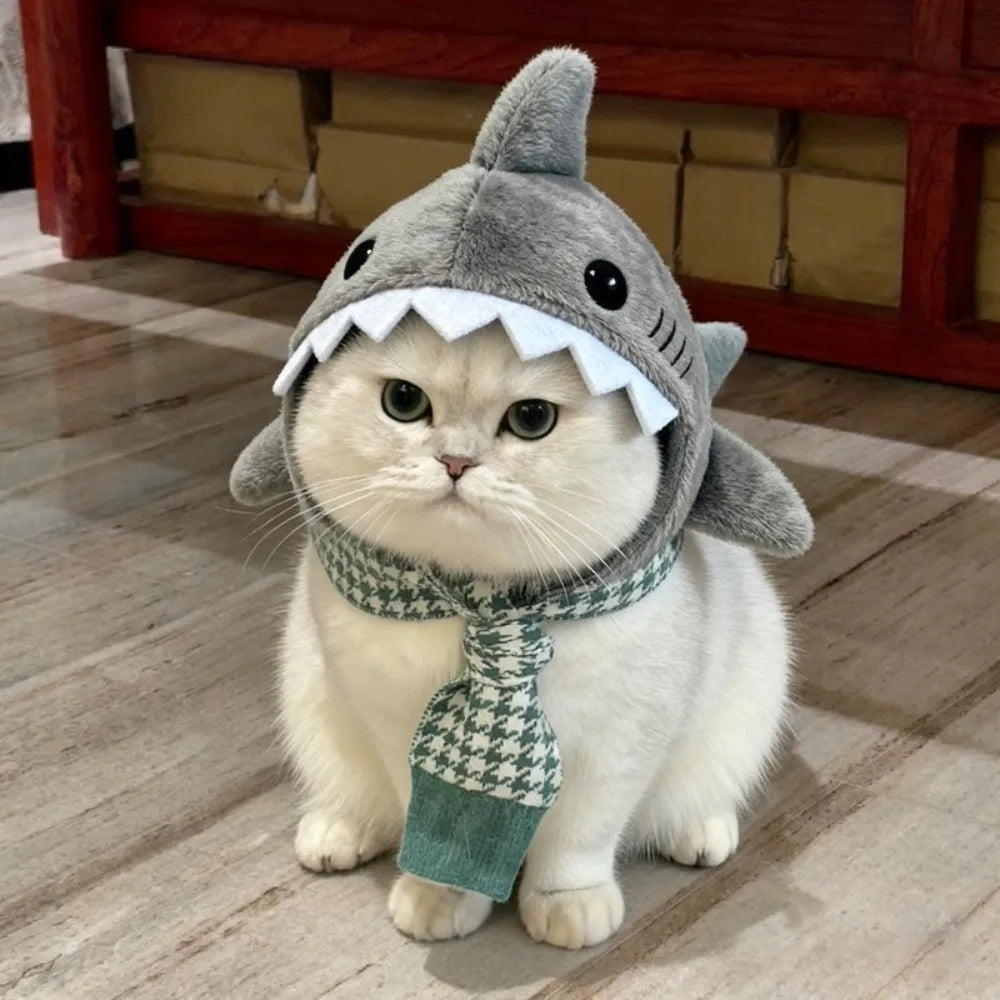 shark