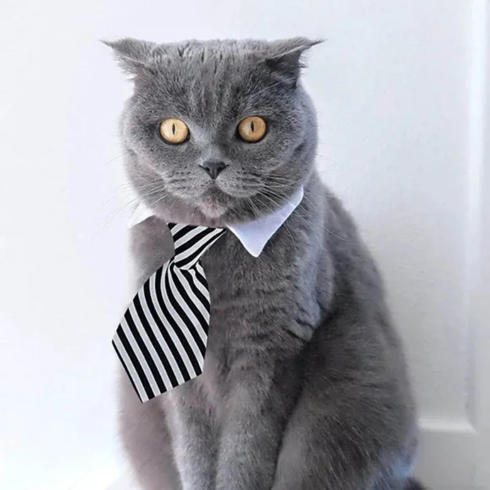 Business