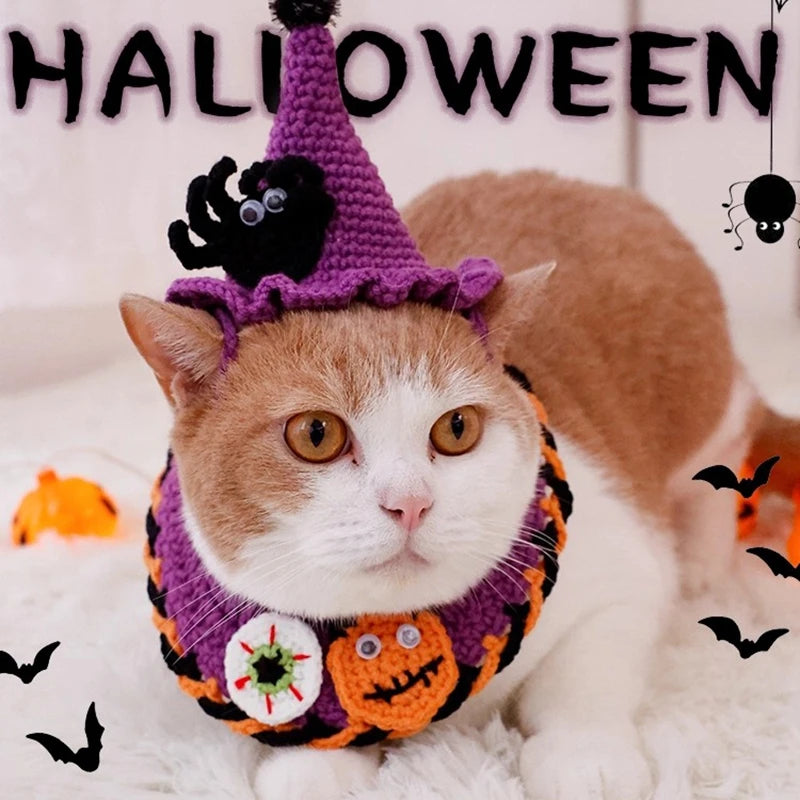 Witch kitty