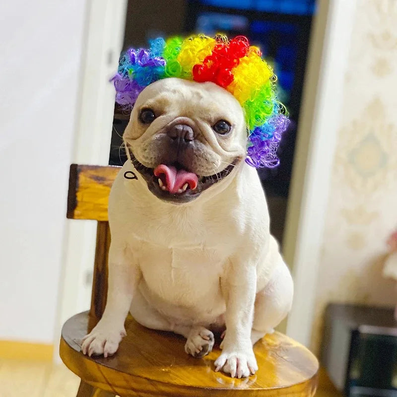 Dog wig