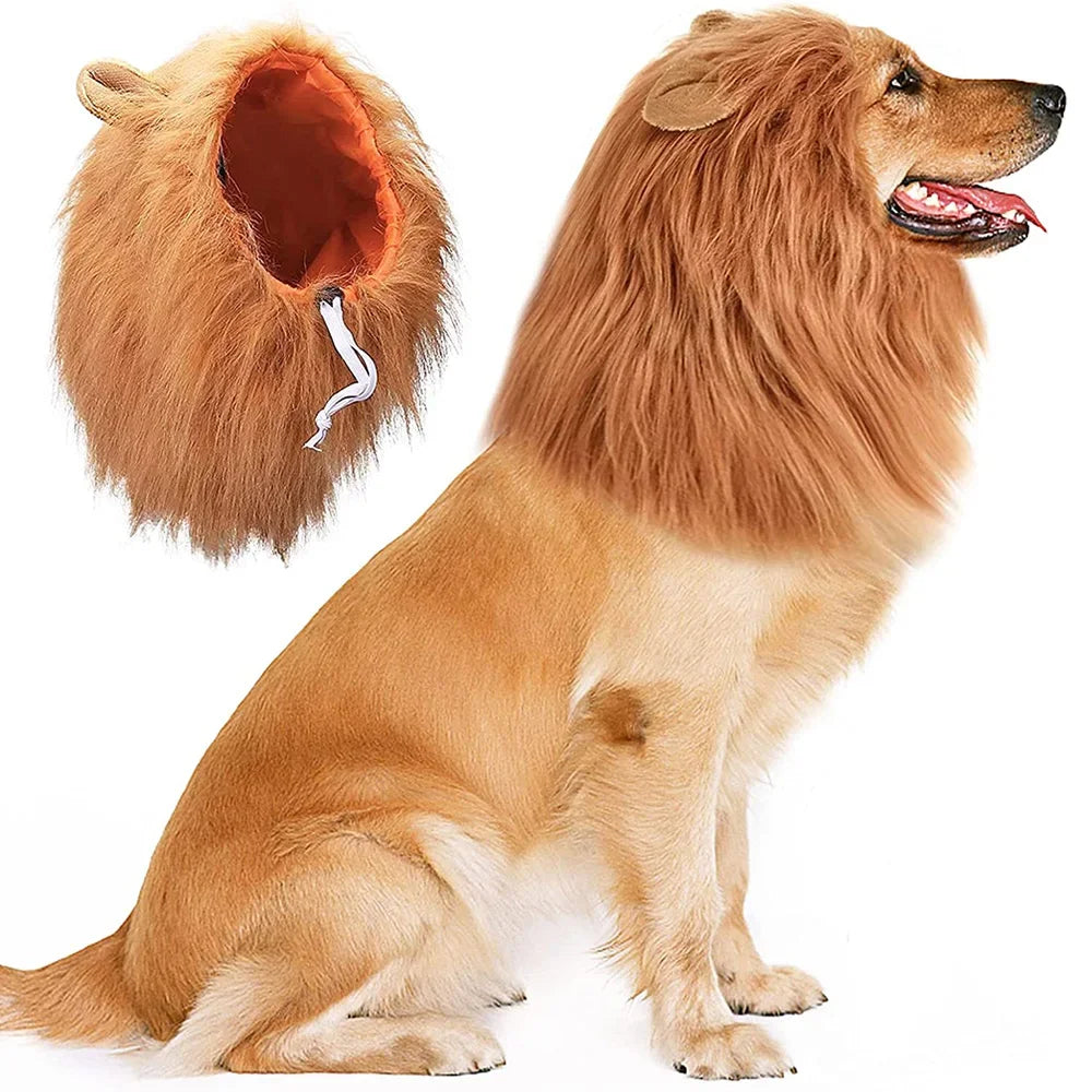 lions mane