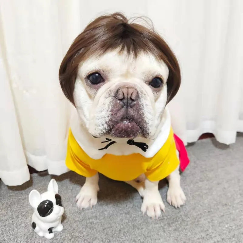 Dog wig