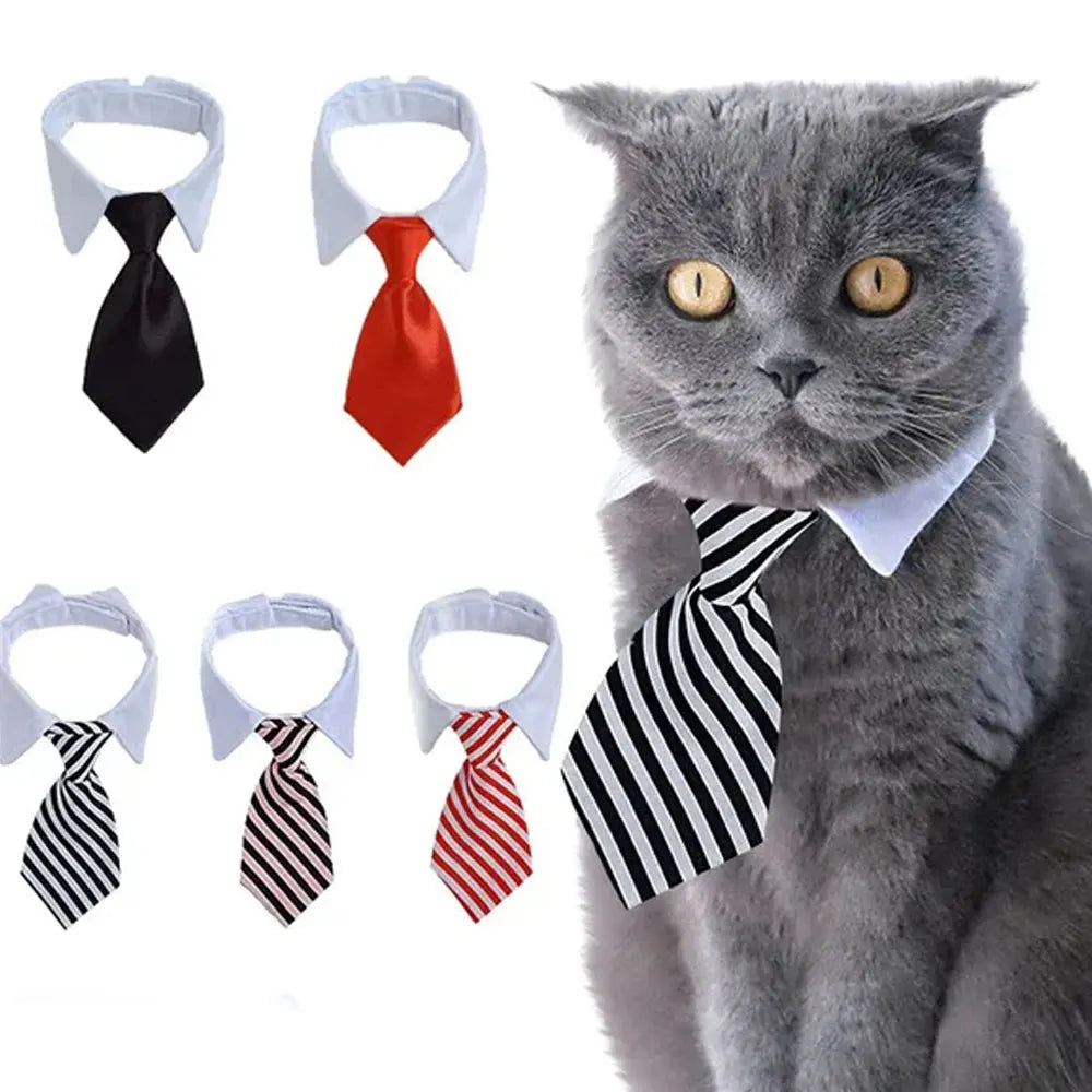 Business