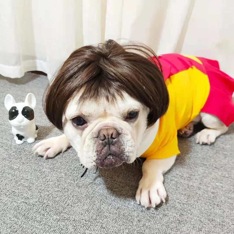 Dog wig