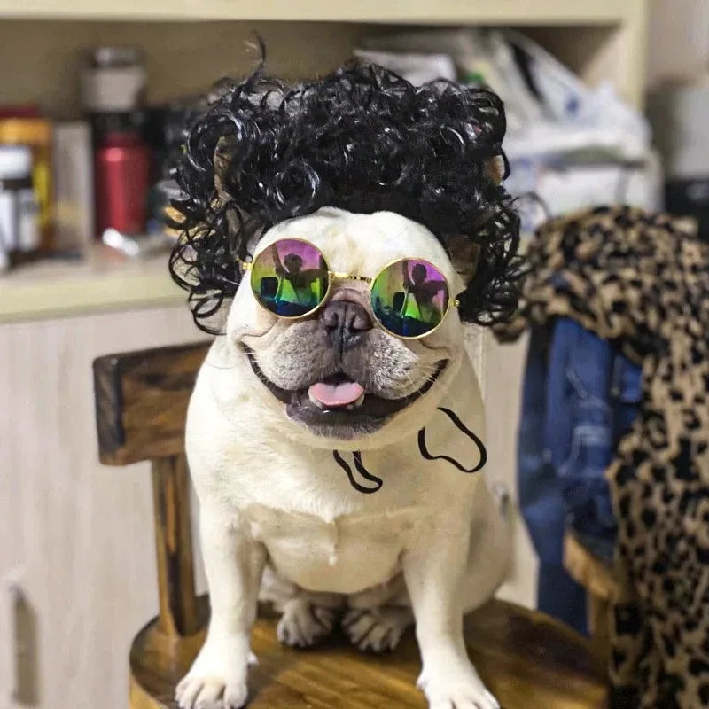 Dog wig