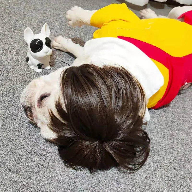 Dog wig