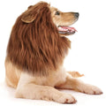 lions mane
