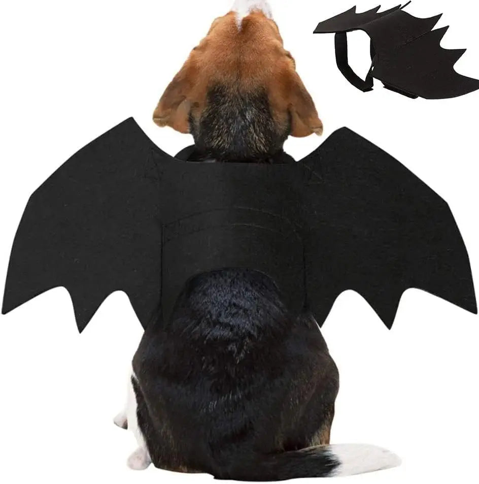 Bat wings