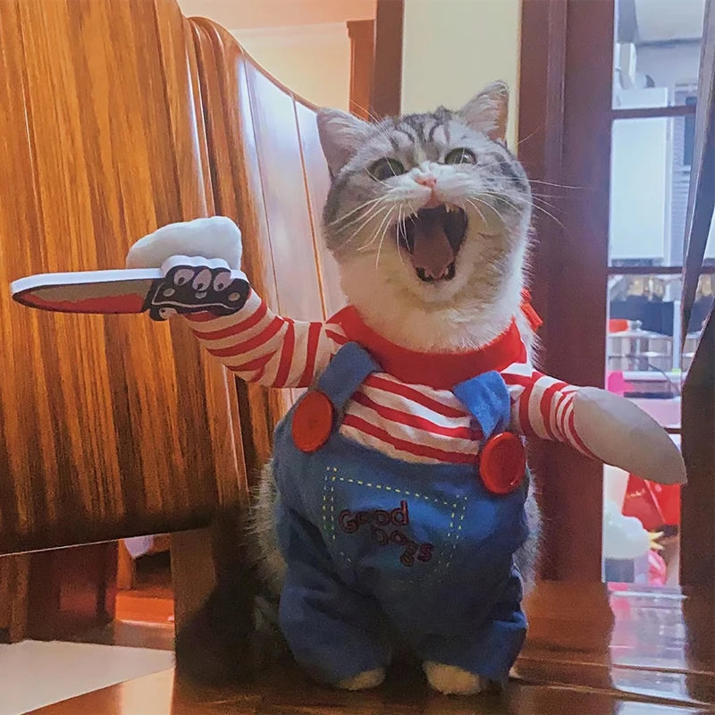 killer cat