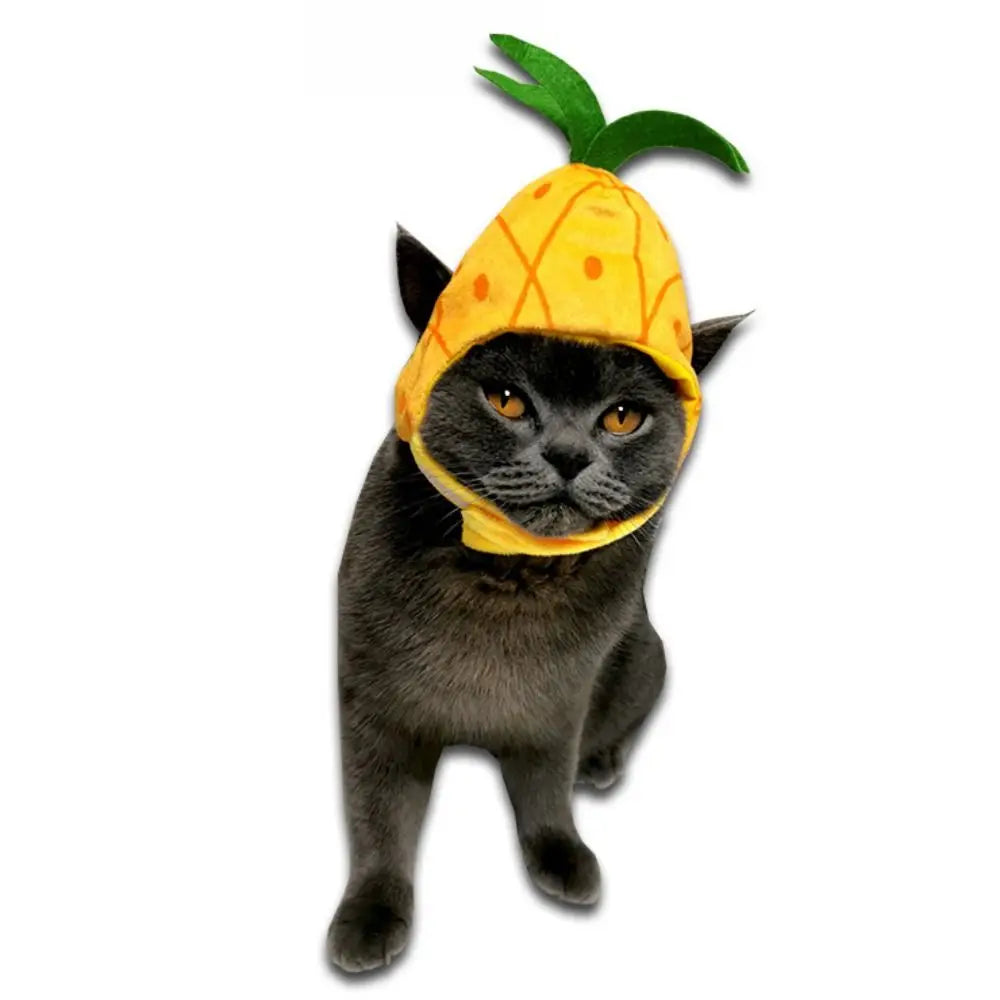 fruit hat