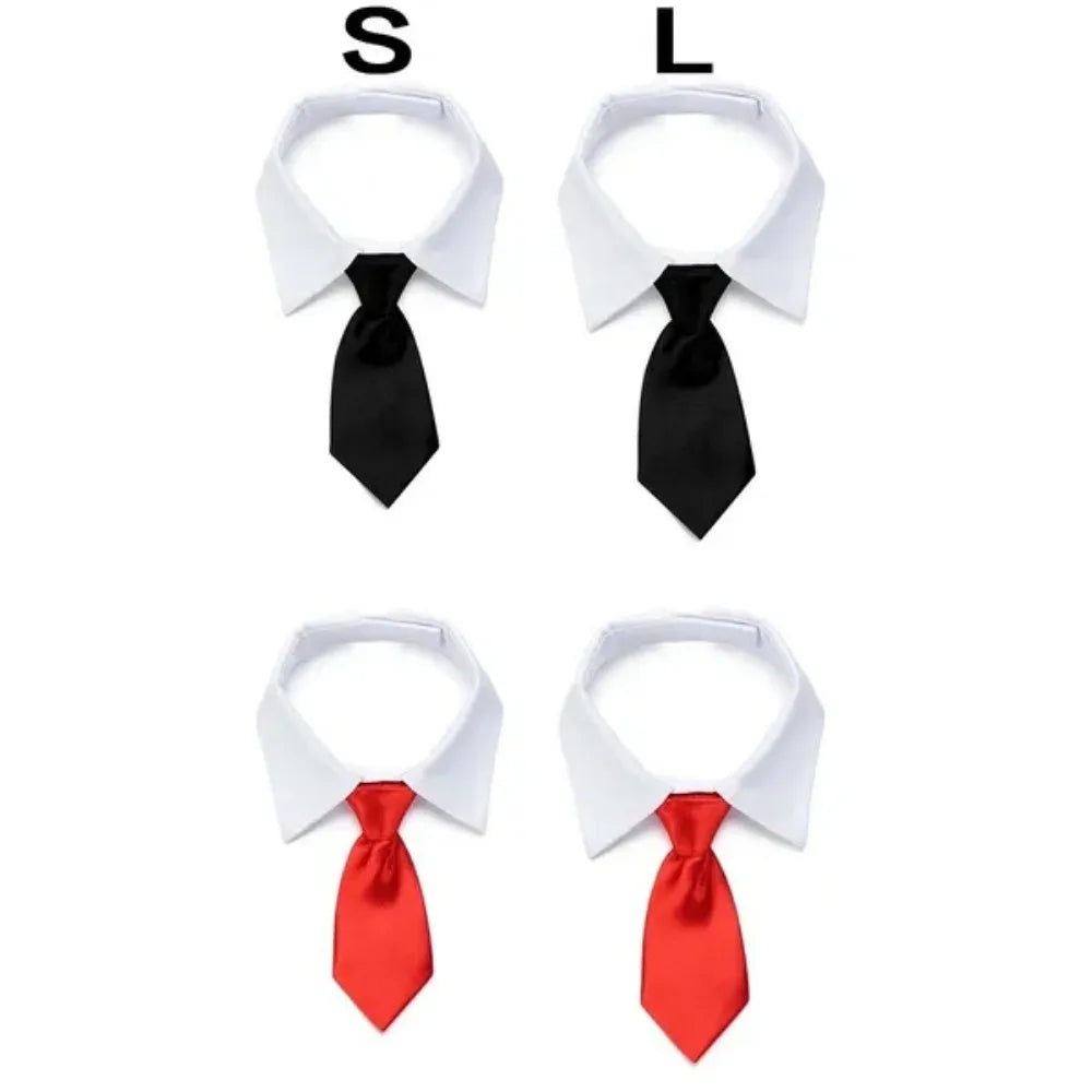 Business