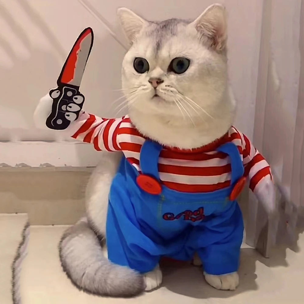 killer cat