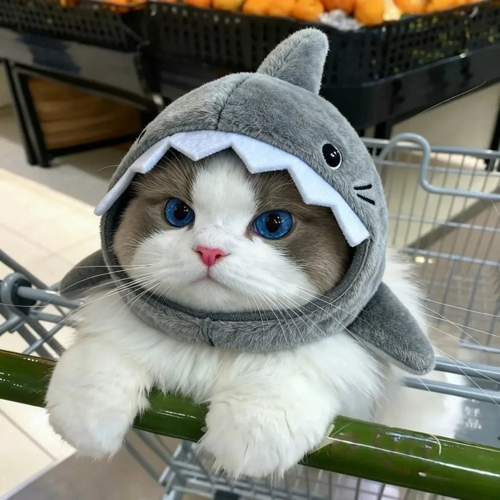 shark