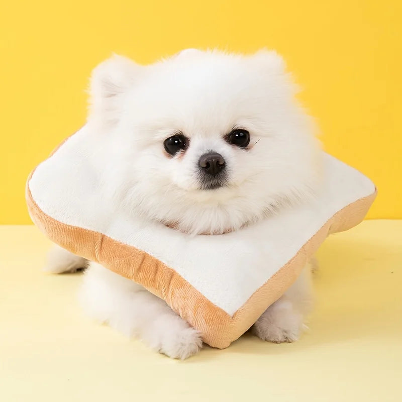 Bread